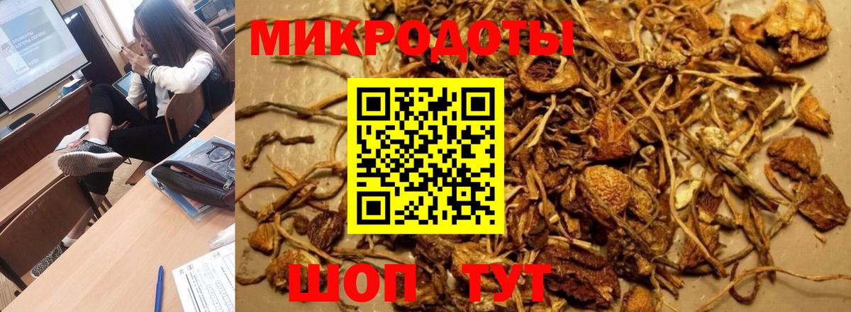 Галлюциногенные грибы MAGIC MUSHROOMS Тайшет